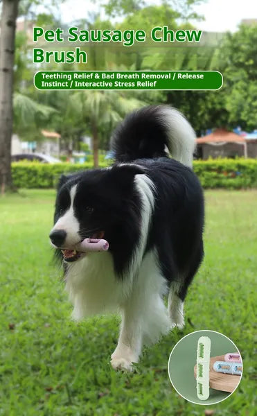 Dog Chew & Clean Buddy – Sausage-Shaped Teeth Cleaning Toy for Dogs