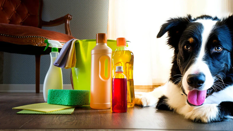Pet Cleaning Products
