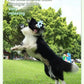 Pet Interactive Flywheel Toy – Food-Grade Silicone Frisbee for Dogs