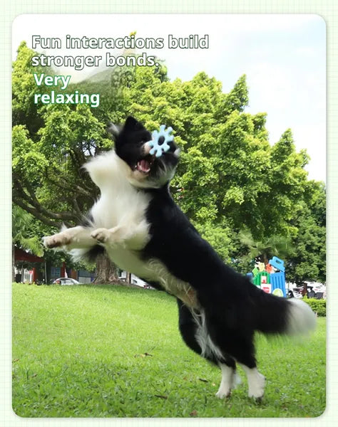 Pet Interactive Flywheel Toy – Food-Grade Silicone Frisbee for Dogs