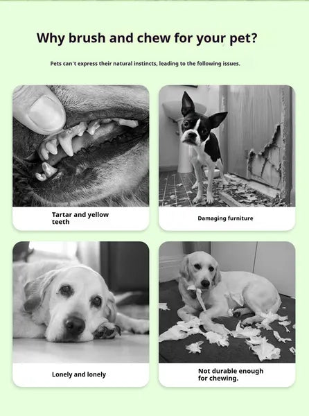 Dog Chew & Clean Buddy – Sausage-Shaped Teeth Cleaning Toy for Dogs