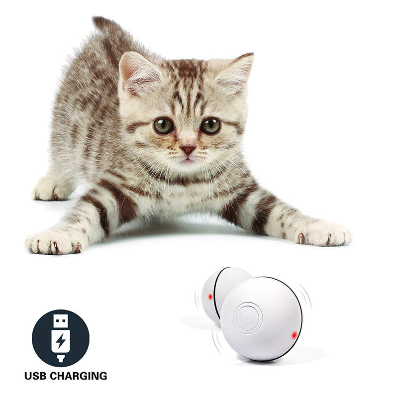 LED Rolling Cat Toy Ball – 360° Auto-Rotating with Catnip, Feathers & Color-Changing Lights