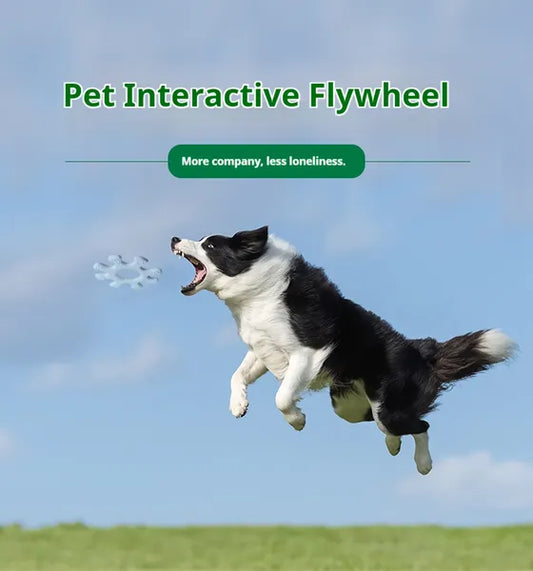 Pet Interactive Flywheel Toy – Food-Grade Silicone Frisbee for Dogs