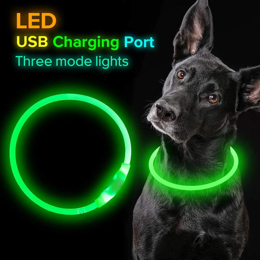 LED Optical Fiber Pet Safety Collar – USB Rechargeable | Visible 500m | Night Walking | 8 Colours | 3 Sizes