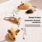 Electric Interactive Mouse Toy for Cats – Automatic Moving Cat Teaser