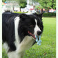 Pet Interactive Flywheel Toy – Food-Grade Silicone Frisbee for Dogs