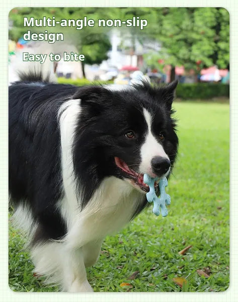 Pet Interactive Flywheel Toy – Food-Grade Silicone Frisbee for Dogs